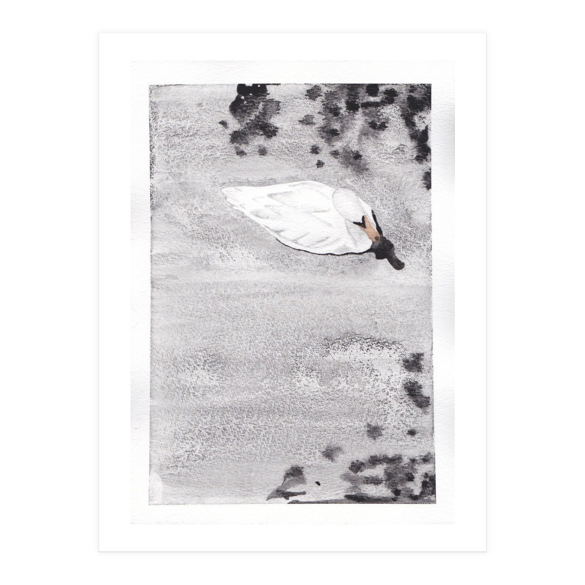 Swan (Print Only)