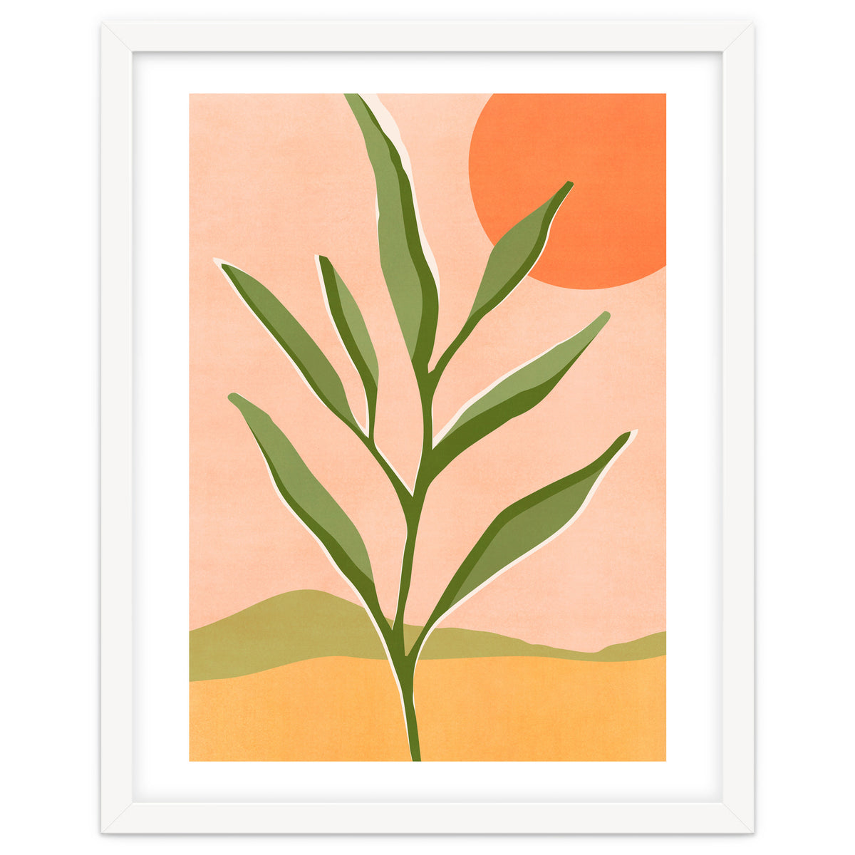 The Sun and The Succulent