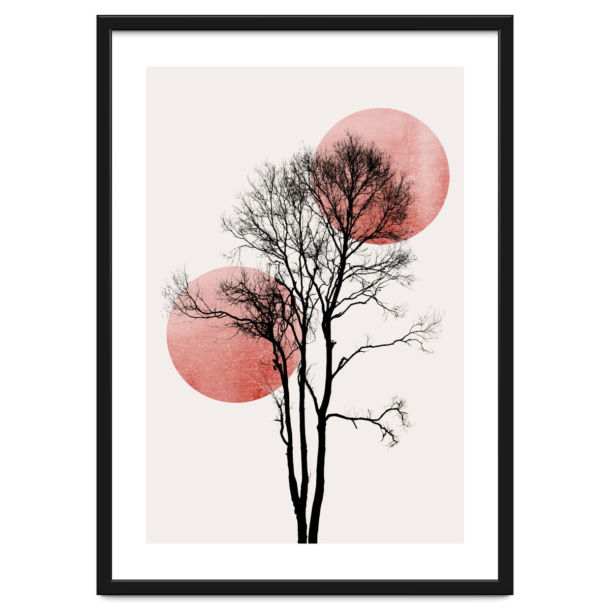 Sun And Moon Hiding Rosè