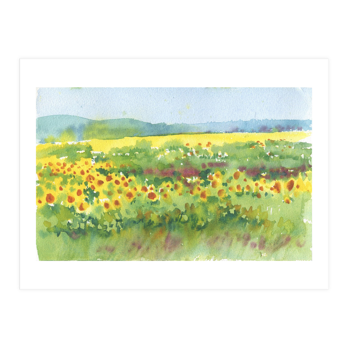 Sunflowers field  (Print Only)