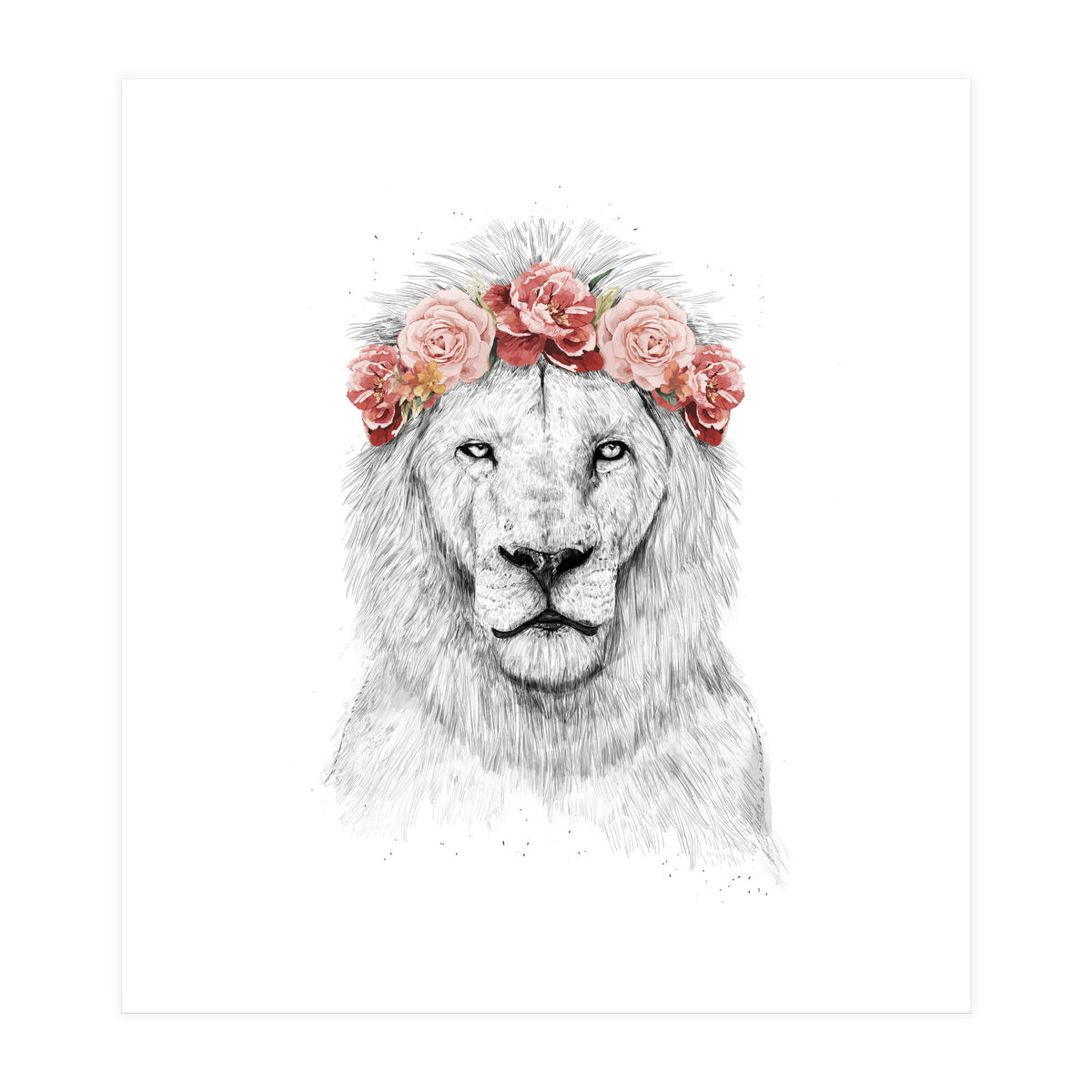Festival Lion (Print Only)