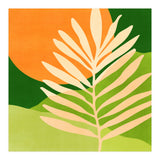 Sunny Palm Frond (Print Only) thumbnail