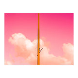 The Pink Half (Print Only) thumbnail
