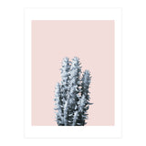 Cactus collection BL-III (Print Only) thumbnail