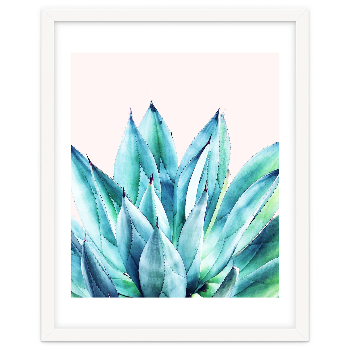 Agave Vibe