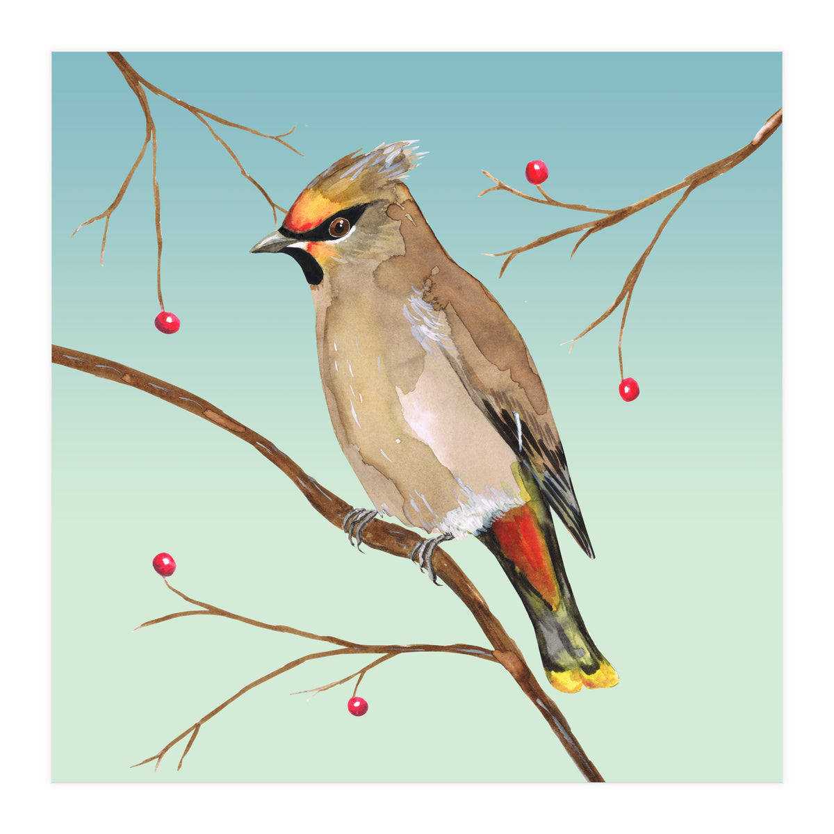 Bohemian waxwing (Print Only)