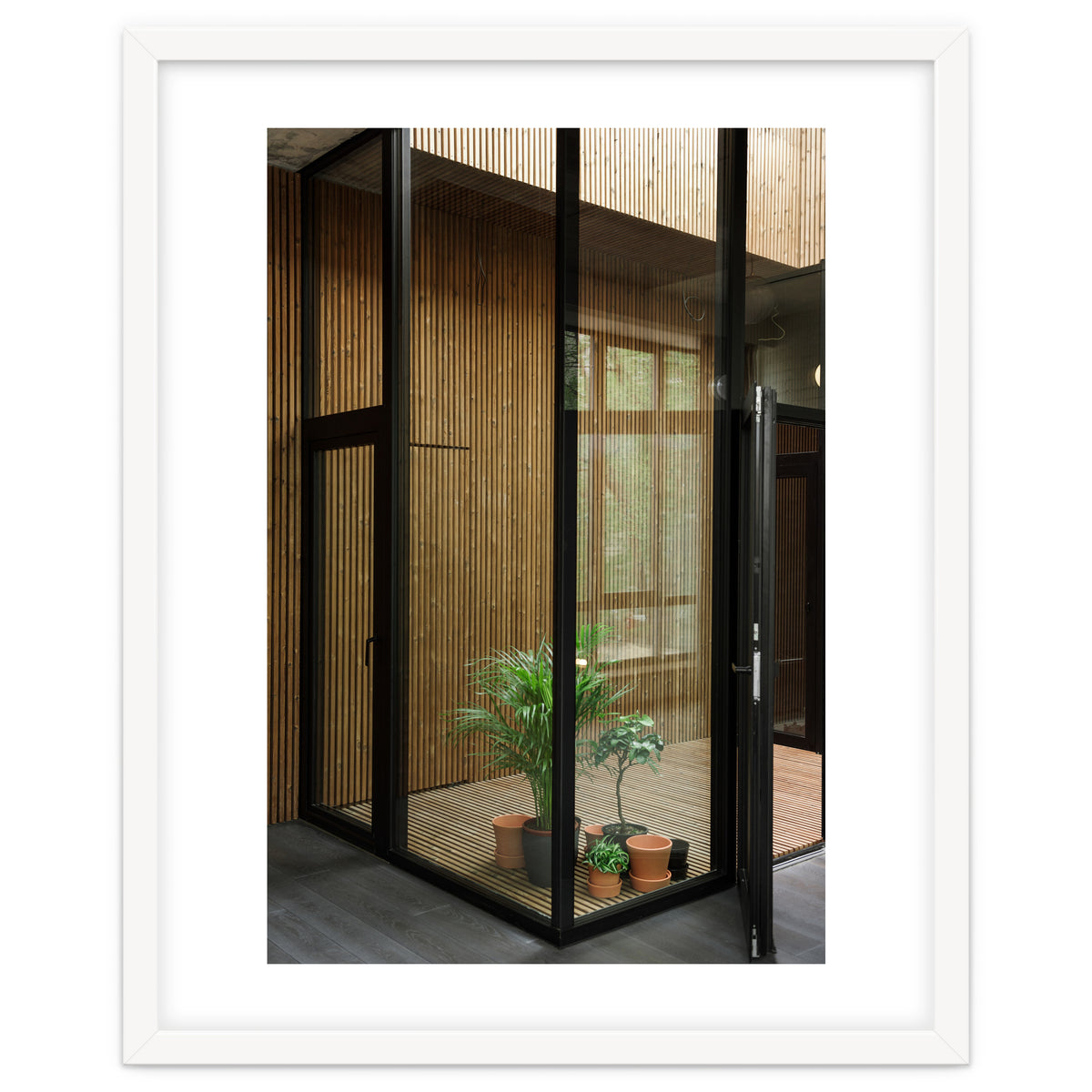 Public Place at my House