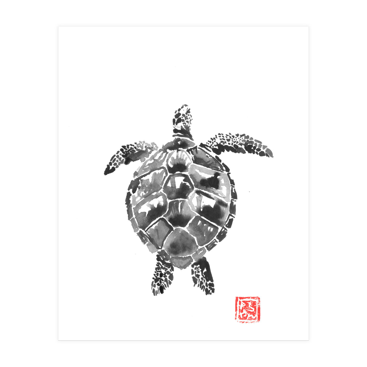 Tartoise (Print Only)