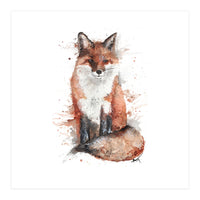 Fox - Wildlife Collection (Print Only)