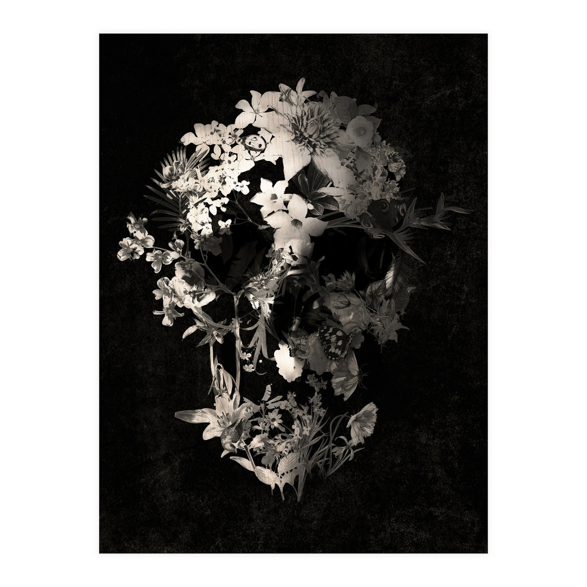 Spring Skull  (Print Only)