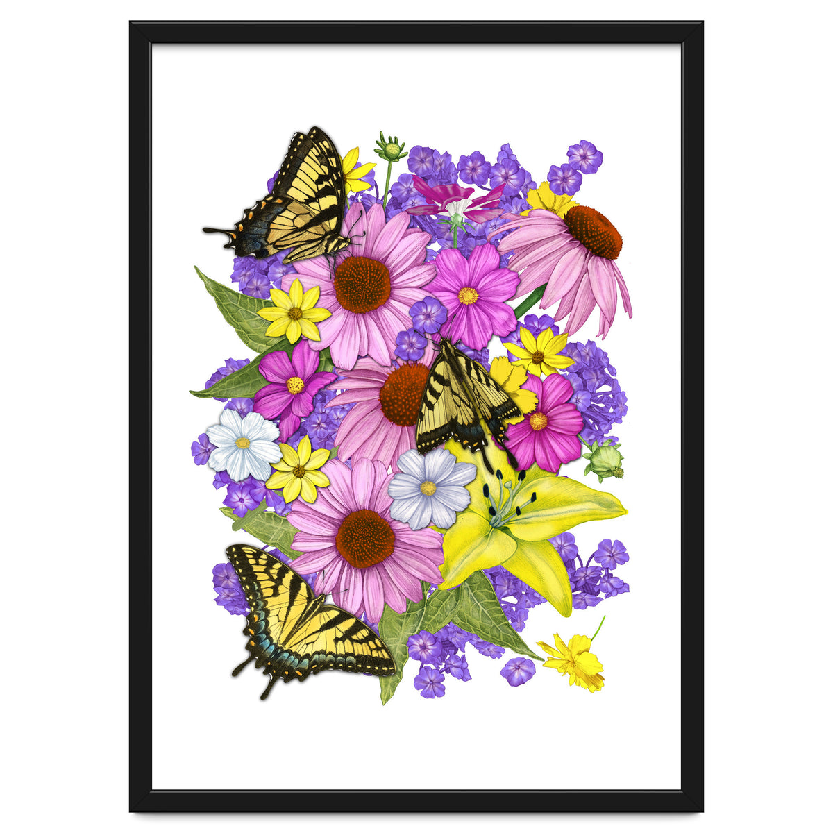 Corn Flowers and Swallowtails