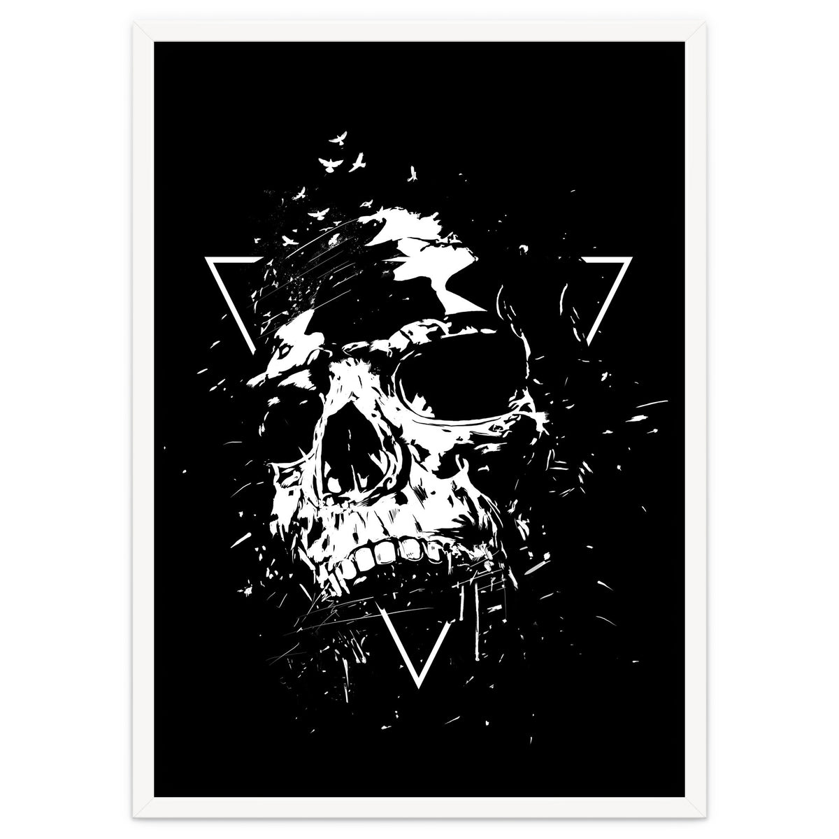 Skull X (Bw)