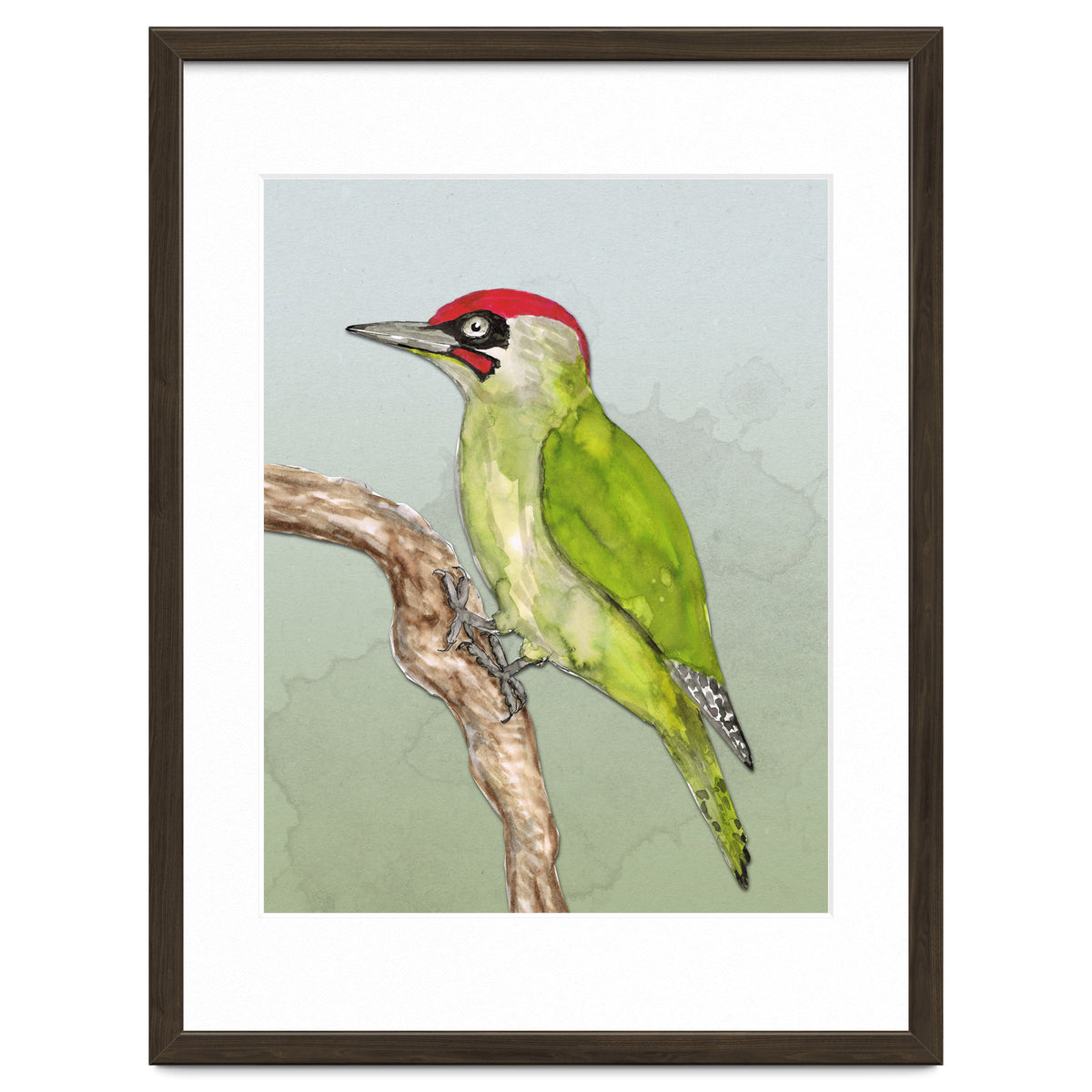 Green woodpecker