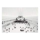 Oculus (Print Only) thumbnail