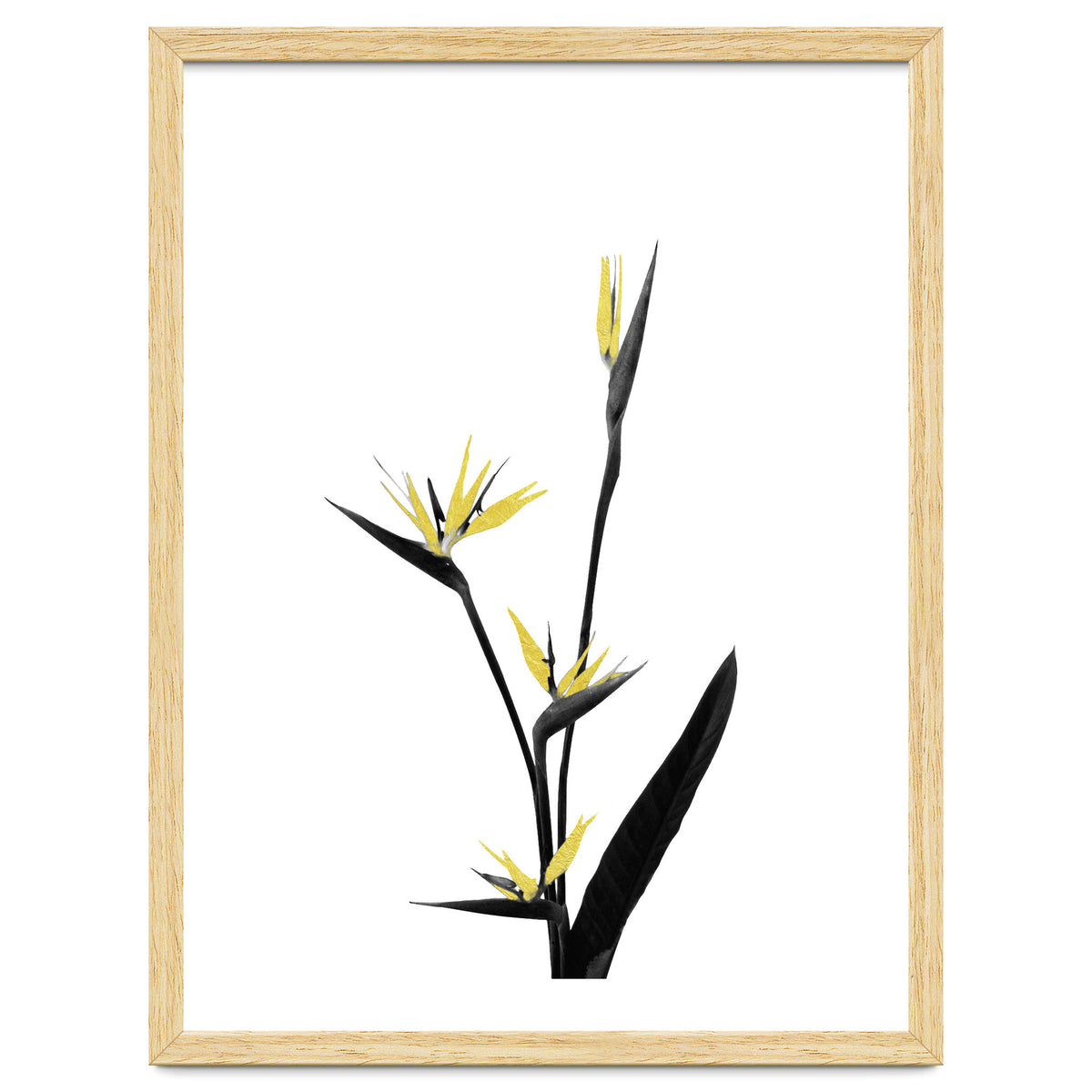 Flower Minimal Black And Gold 05