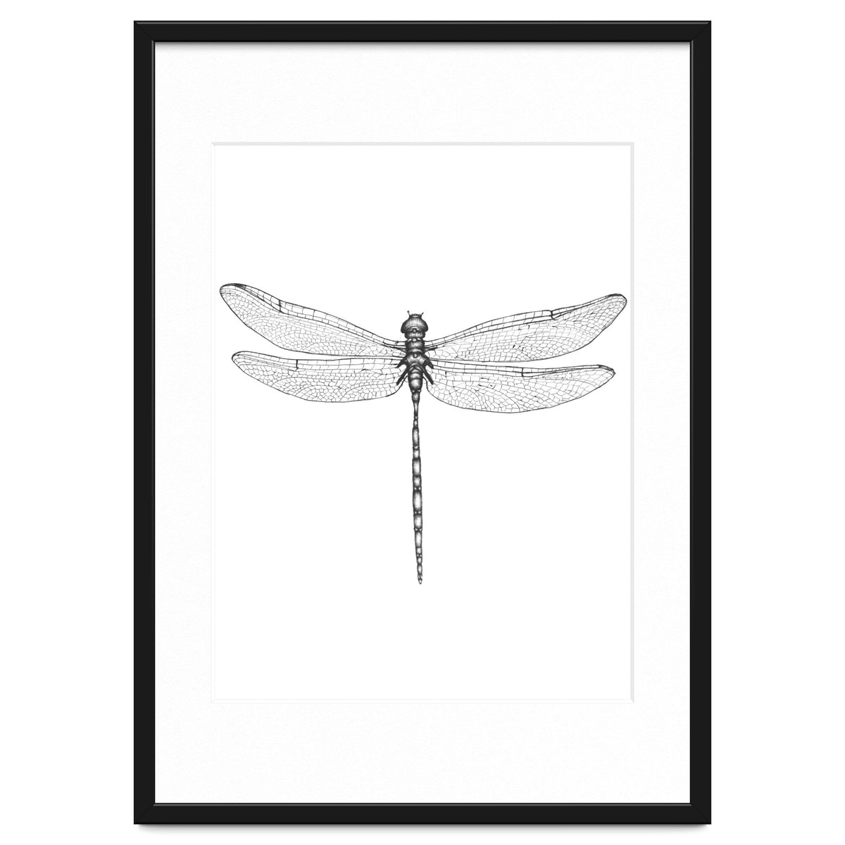 Dragonfly Wings