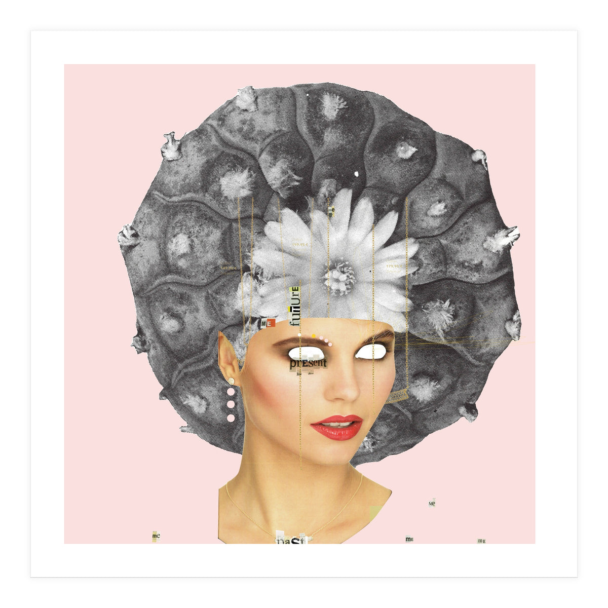 Rosa, Present (Print Only)