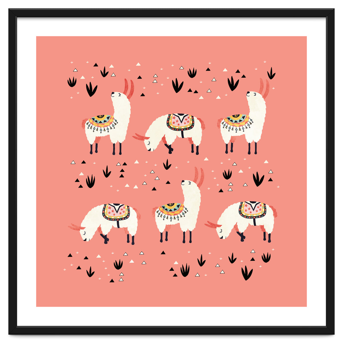White Llamas In Pink Desert