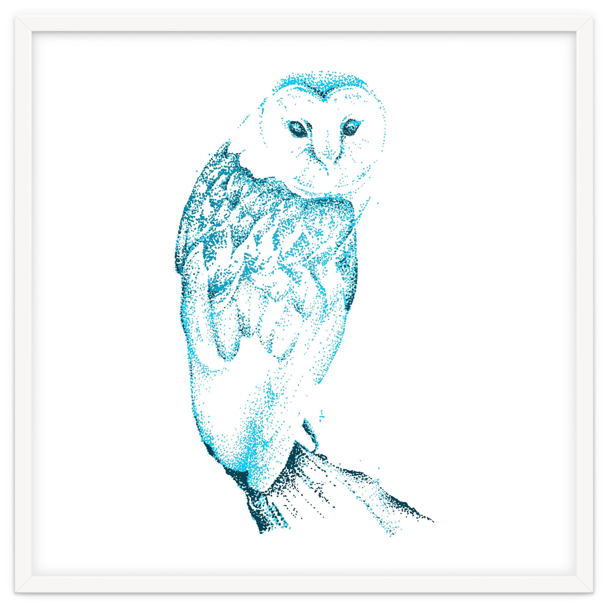 Barn Owl in Teal