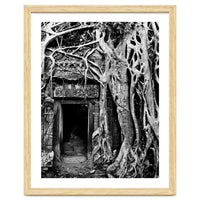 Ta Prohm Temple, Cambodia