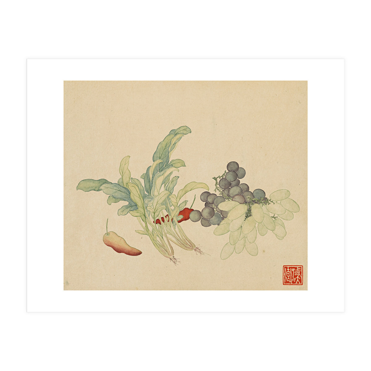 Wang Chengyu ~ Flowers And Vegetables, Vegetables, Fruits, Peppers, Millet Hot, Grapes, Spinach (Print Only)