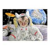 Nasacatadjustcolor (Print Only) thumbnail