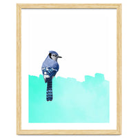 Bird Blue