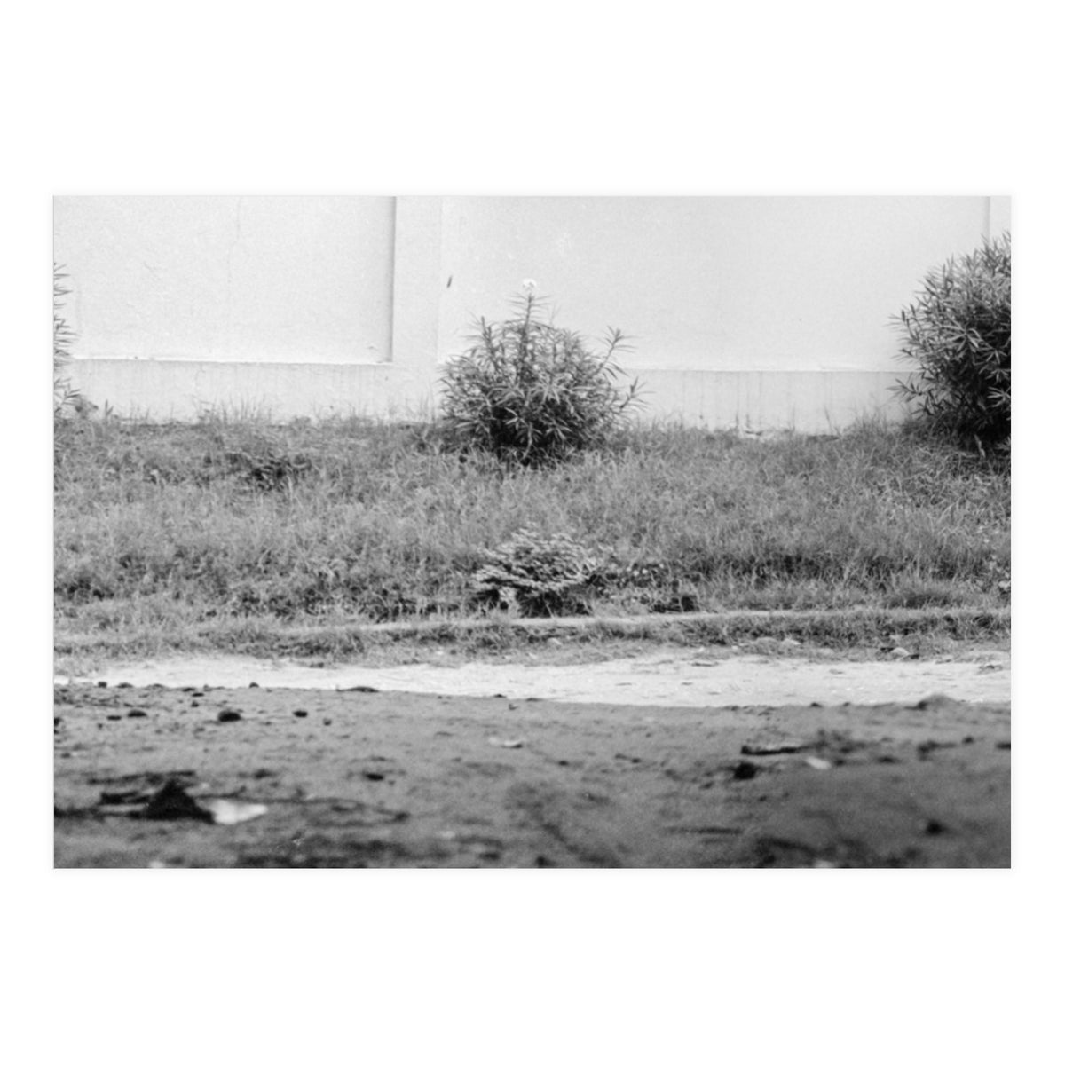 Dar Es Salam, Tanzania (Print Only)