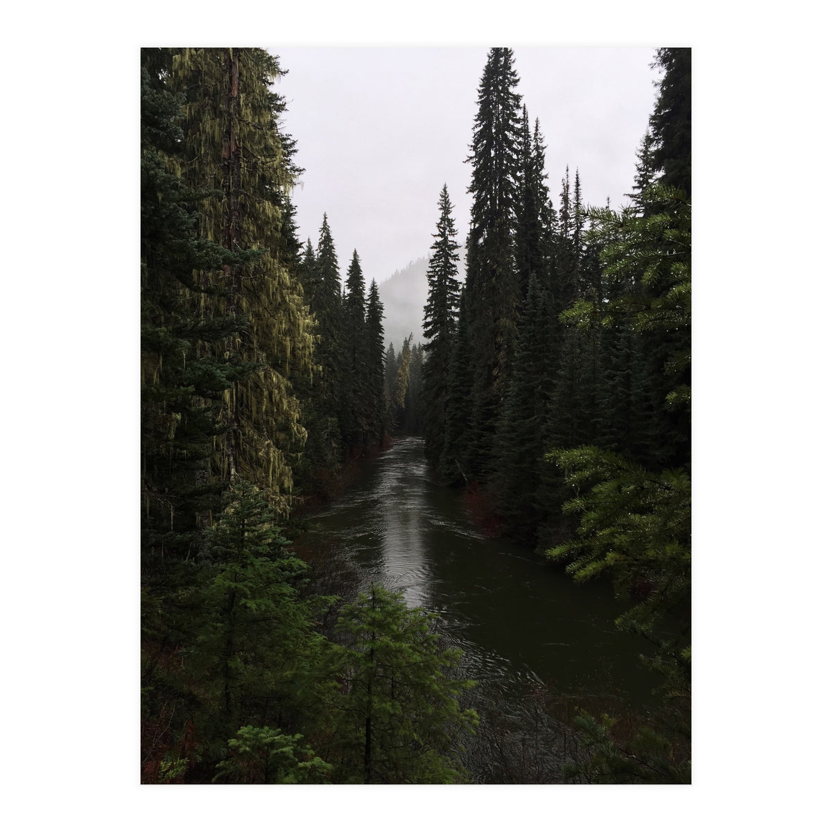 Evergreen State (Print Only)