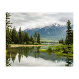 Nature (Print Only) thumbnail