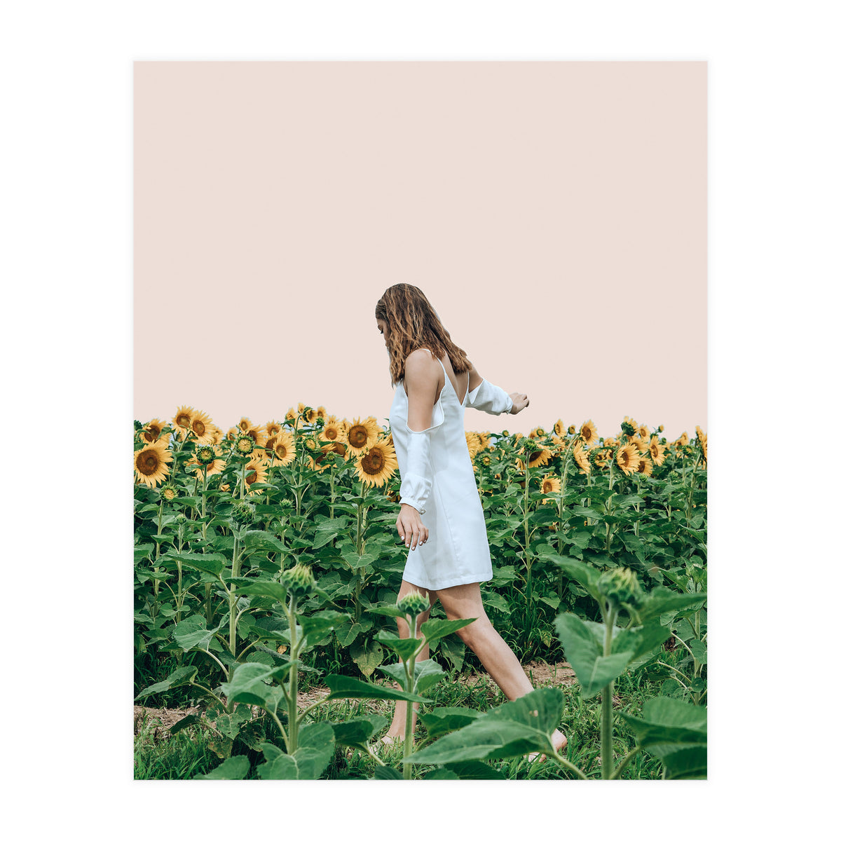 Lost In Sunflowers (Print Only)