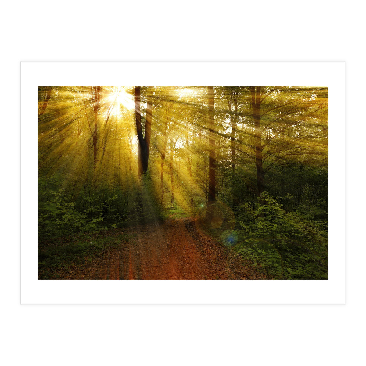 Nature (Print Only)