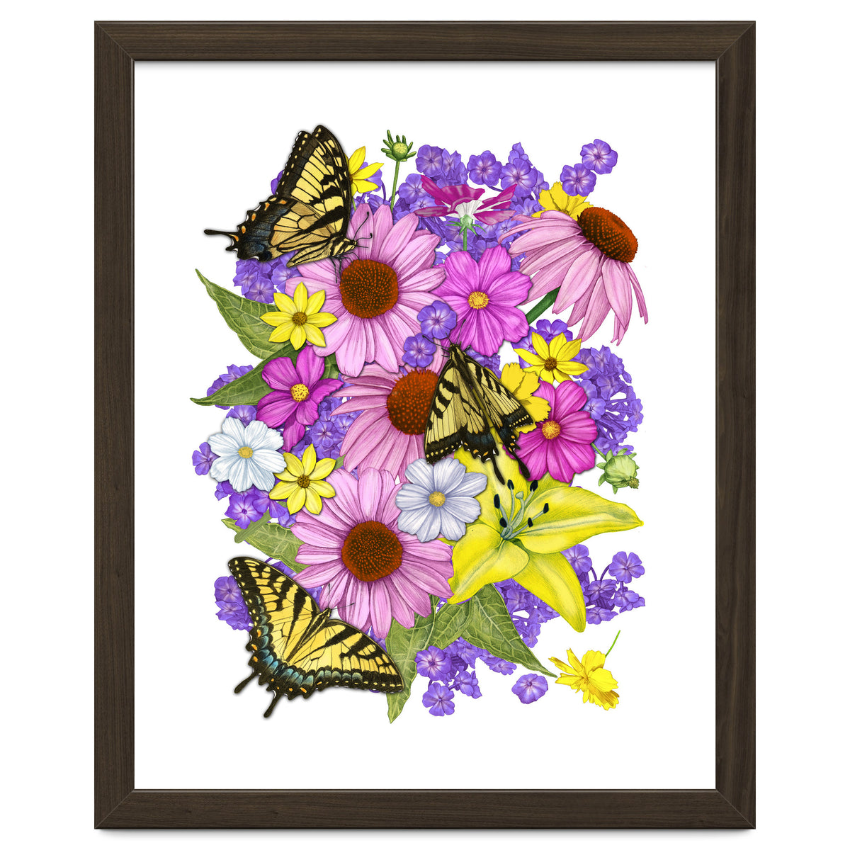 Corn Flowers and Swallowtails