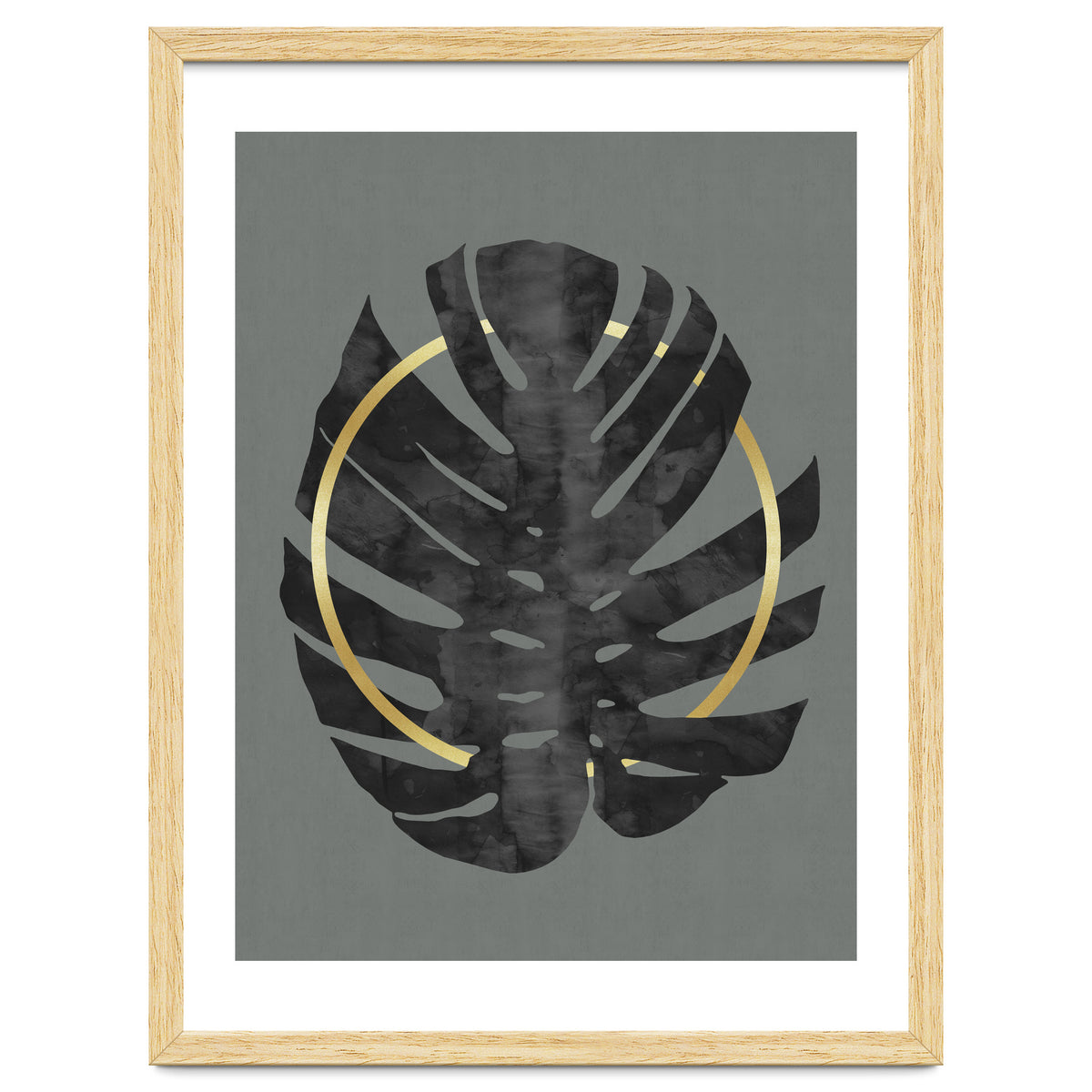 Monstera Deliciosa I