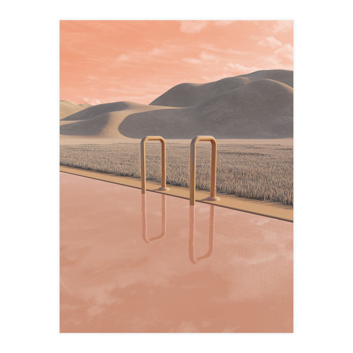 POLL SERIES-ORANGE (Print Only)