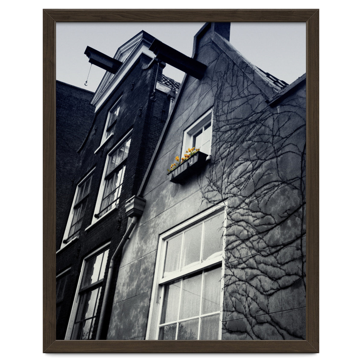 Amsterdam. House With Yellow Flowers.