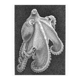 Octopus no. 2 (Print Only) thumbnail
