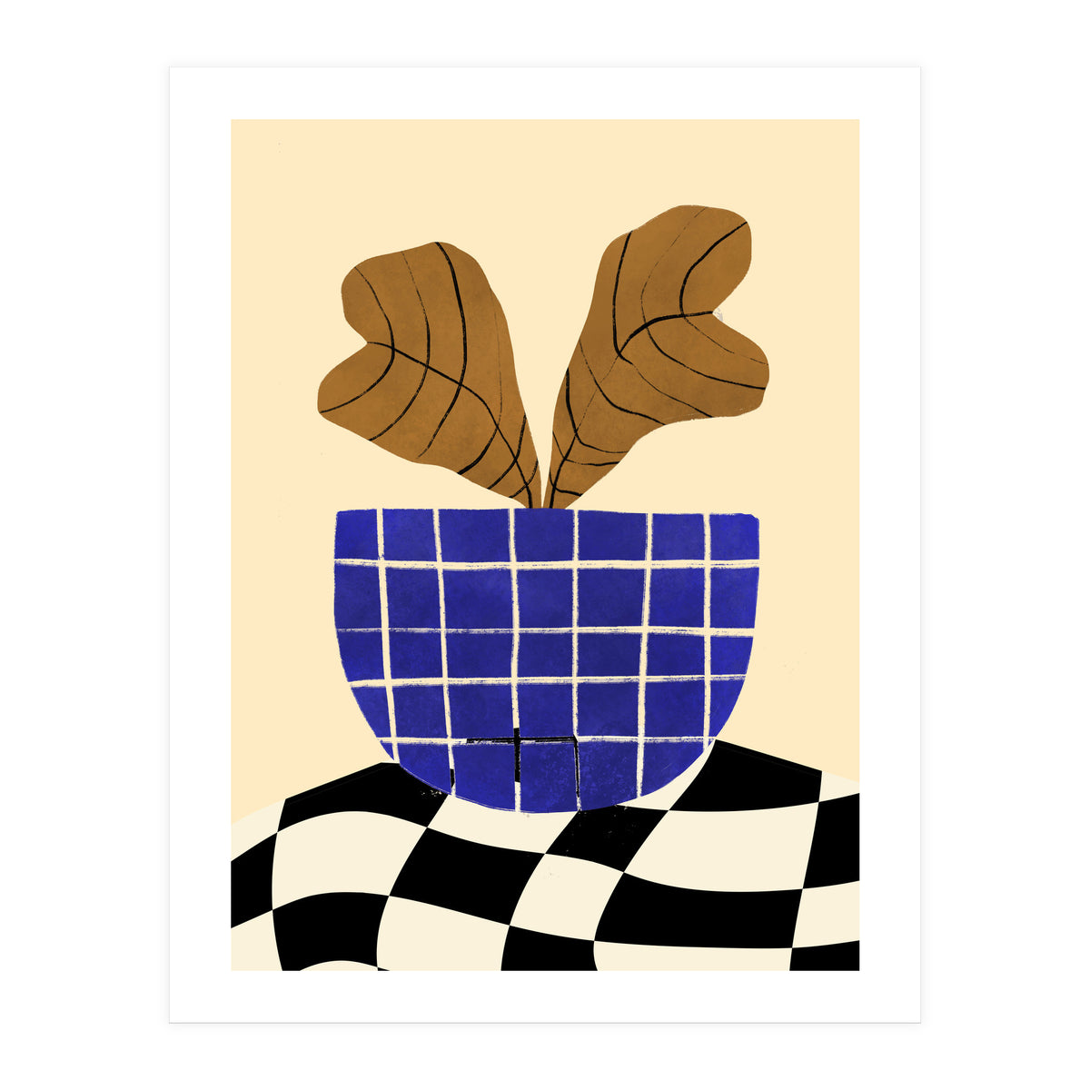 Heuchera (Print Only)