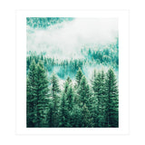 Forest And Fog (Print Only) thumbnail