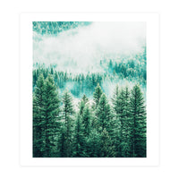 Forest And Fog (Print Only)