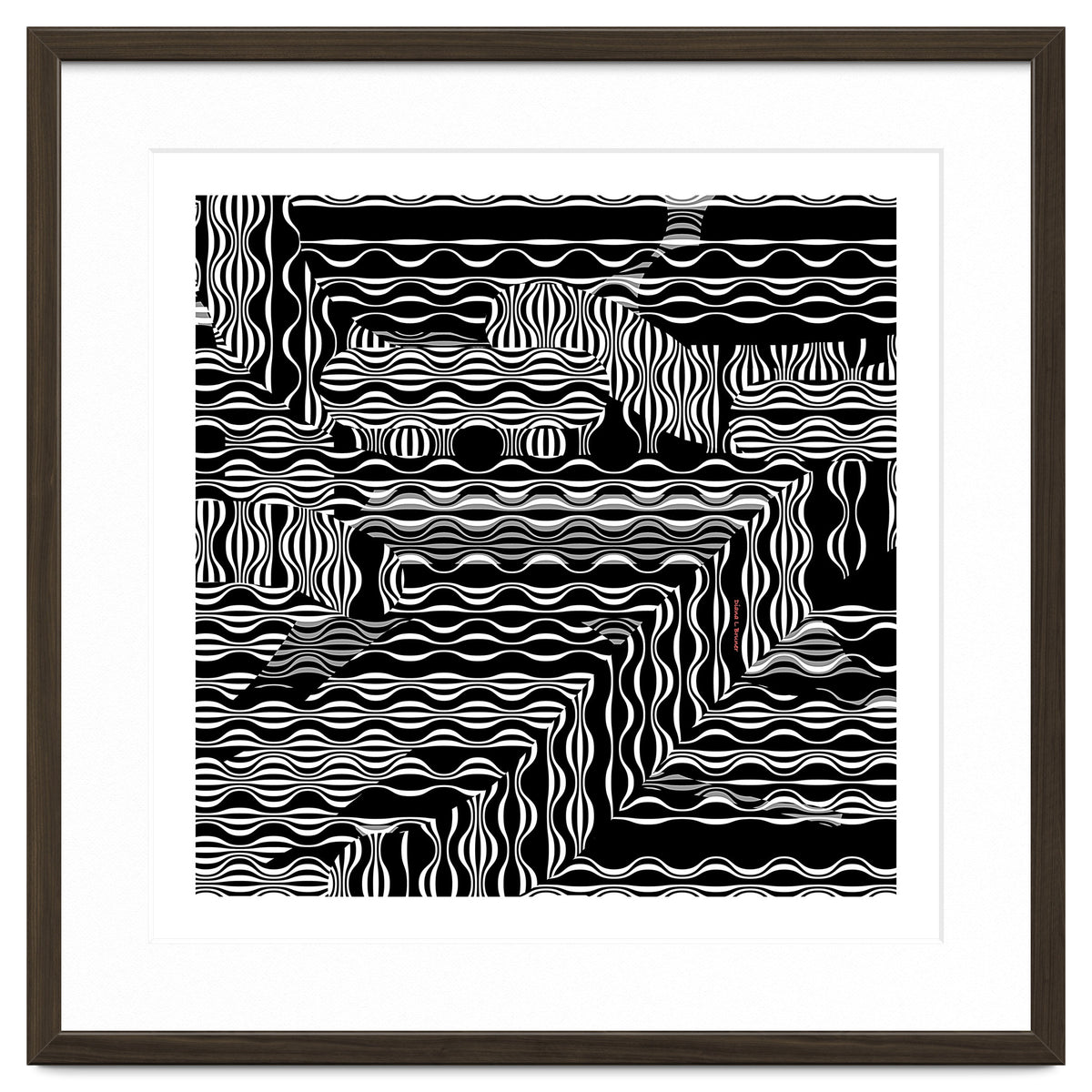 BLACK AND WHITE EXOTIC