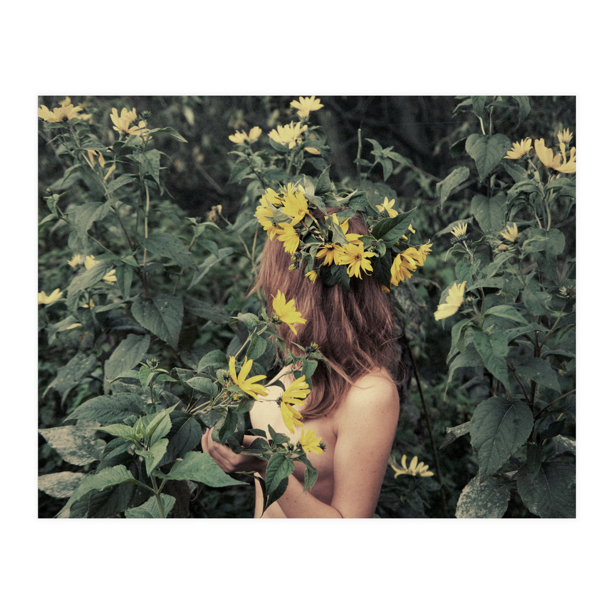 Acid Rain (Print Only)