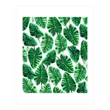 Taro (Print Only) thumbnail