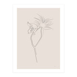 Flower 01 (Print Only) thumbnail