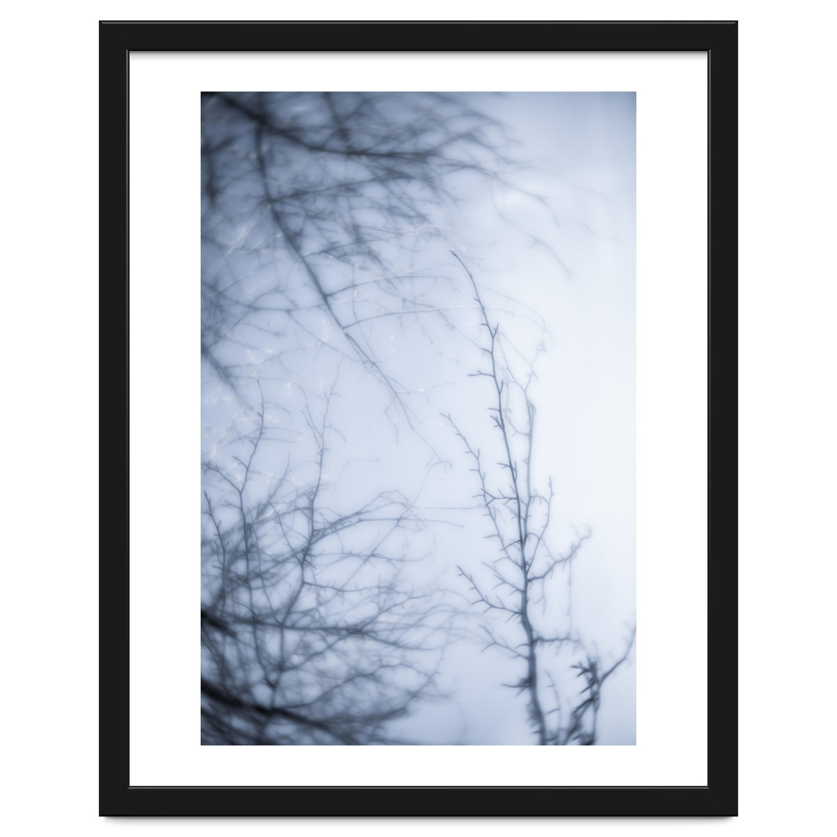 Forgotten Memories of Summer #21