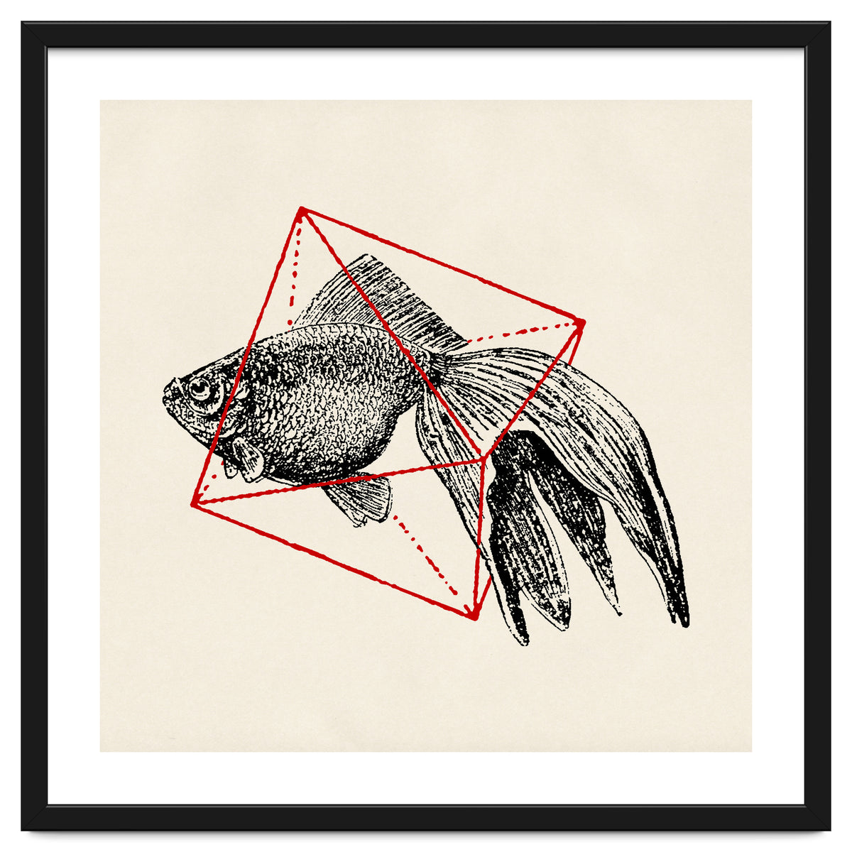 Fish In Geometrics III (Square)