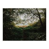 Tomales Bay (Print Only) thumbnail