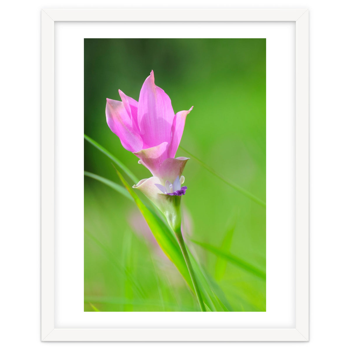 Nature 4000x6000 (12)