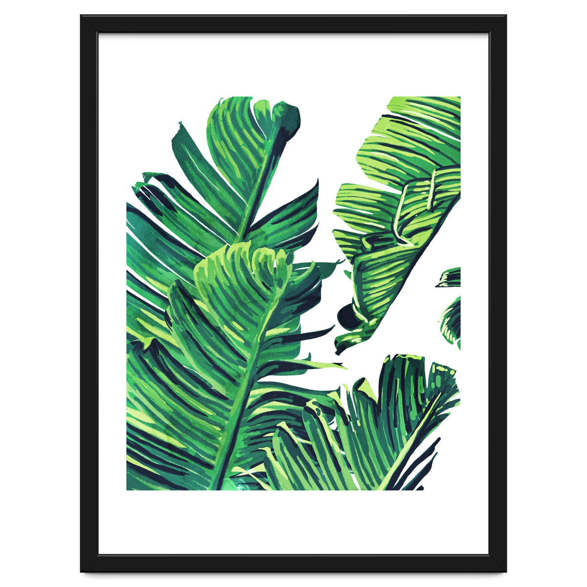 Banana Tree Leaves