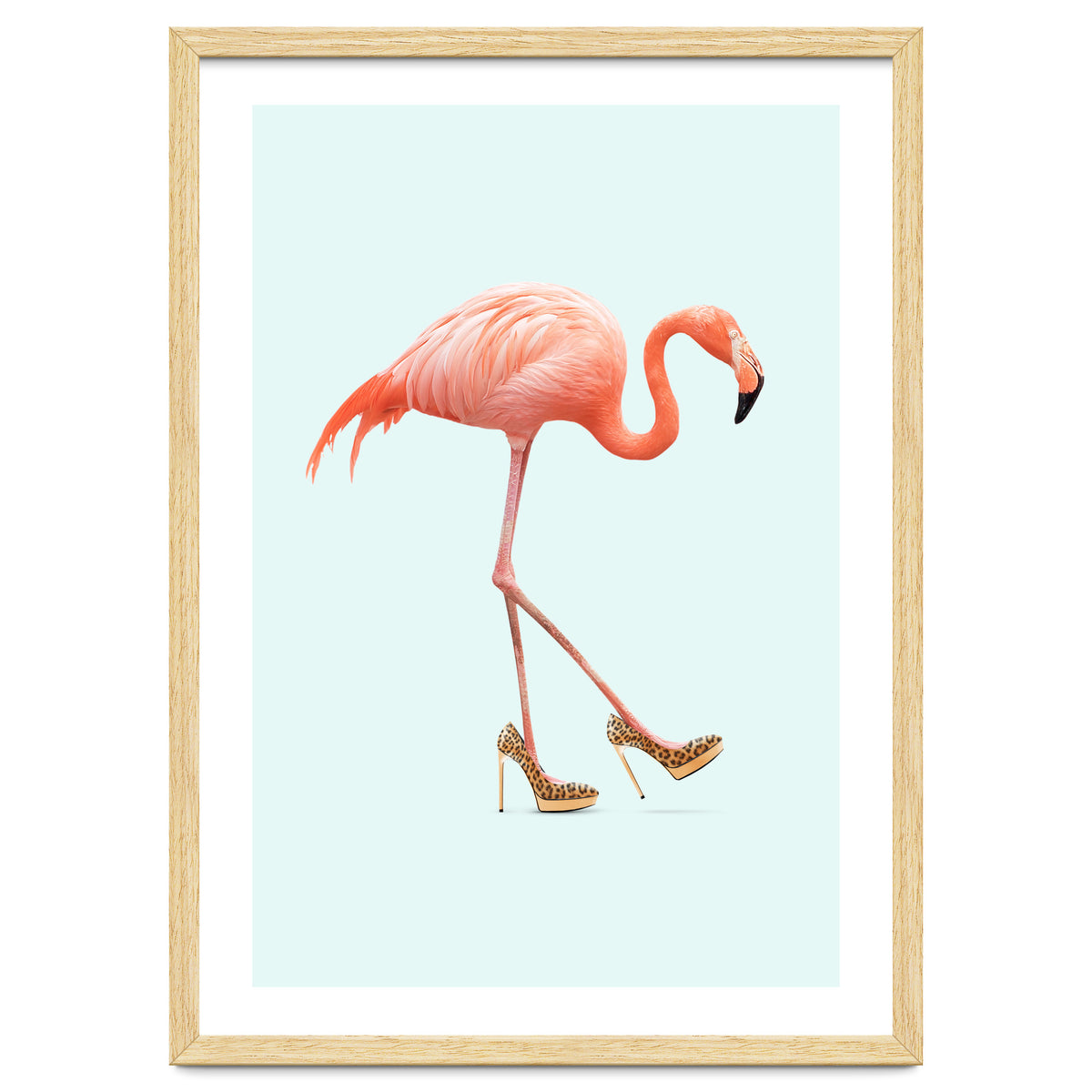 Fancy Flamingo